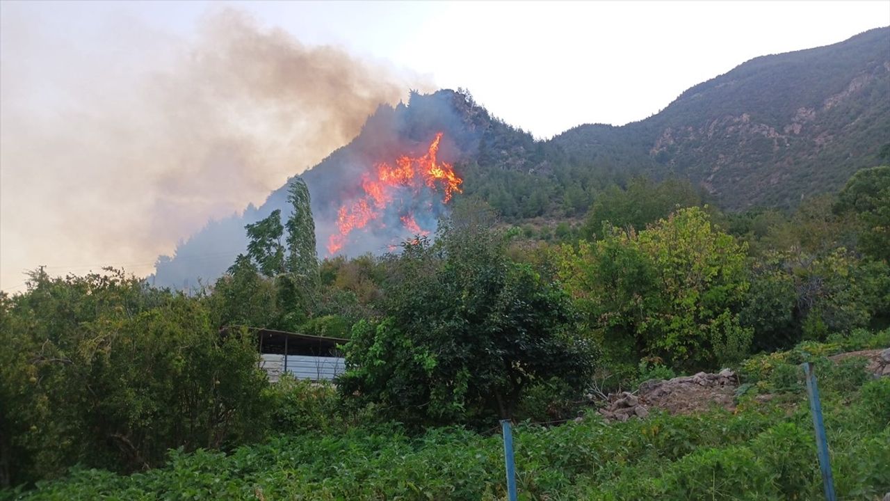 Hatay Kırıkhan'da Orman Yangını: Bektaşlı'da Havadan ve Karadan Müdahale