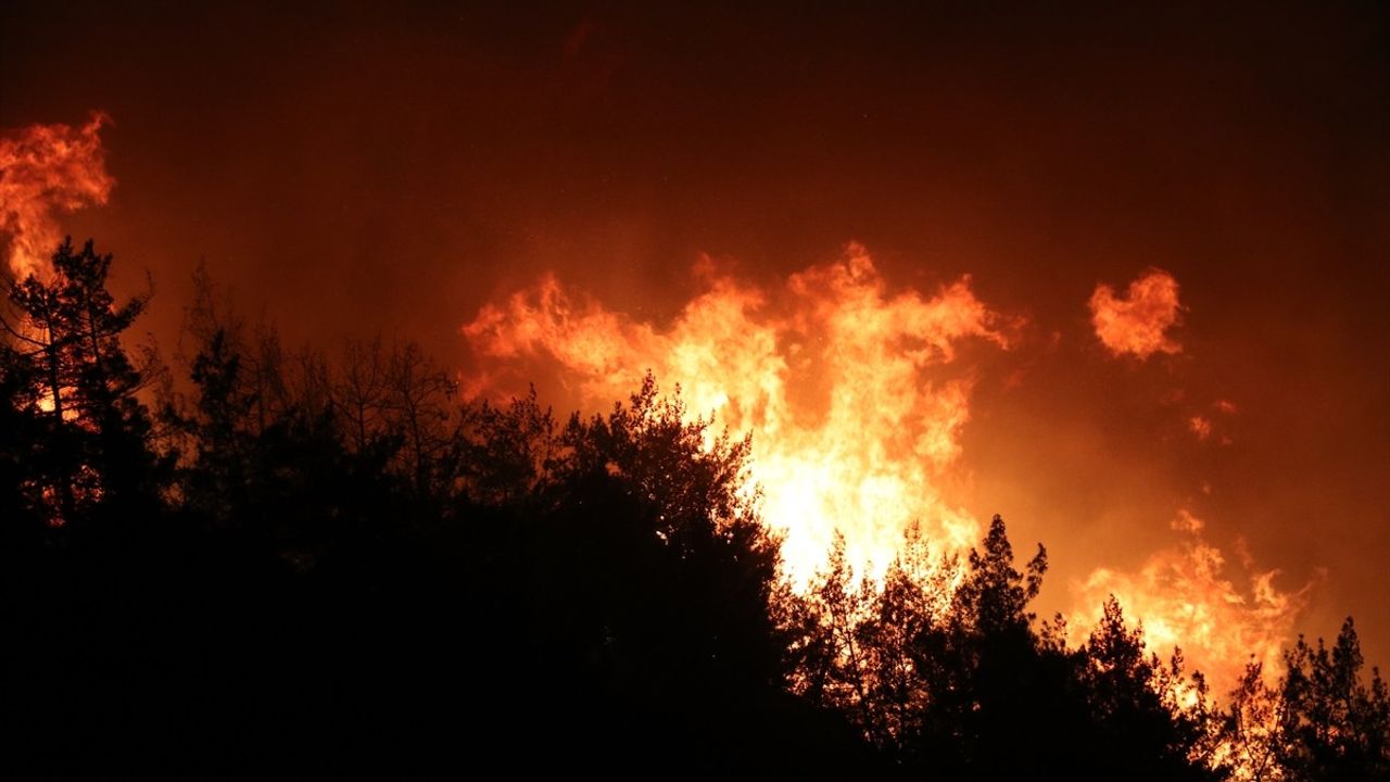 Hatay Yayladağı'nda Orman Yangını — Müdahale Sürüyor