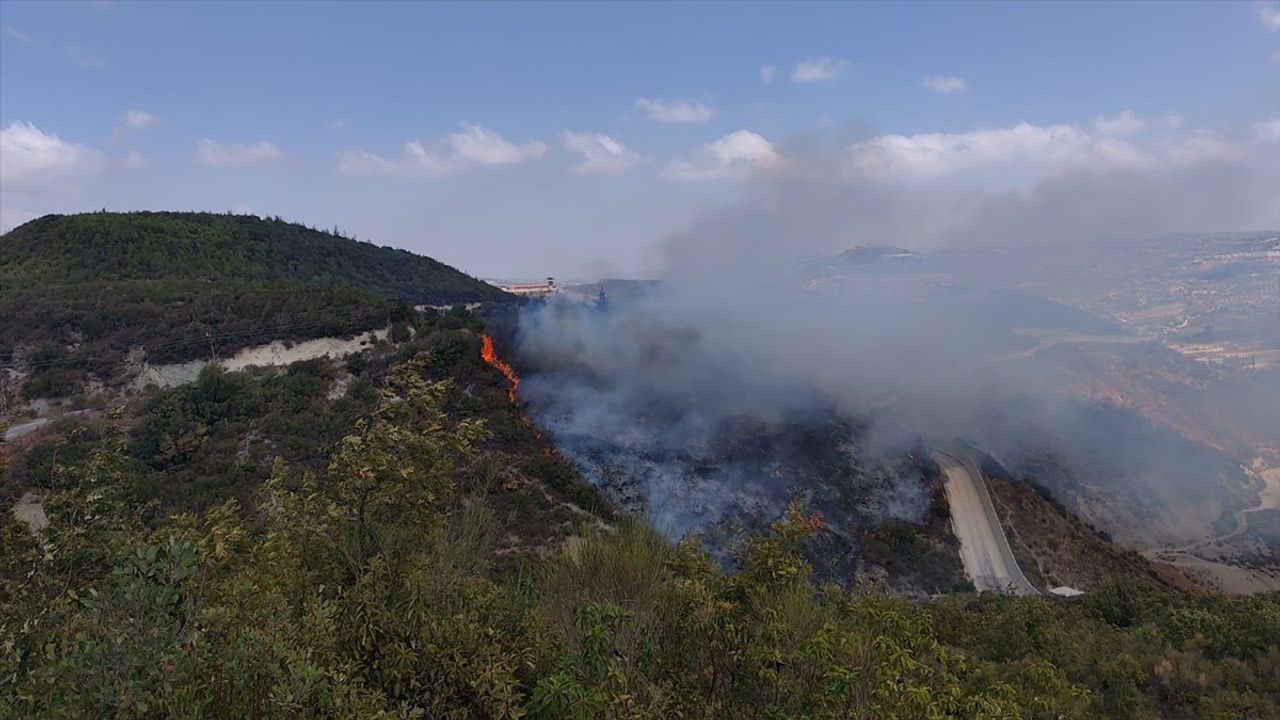 Hatay Yayladağı'nda Sınırdaki Orman Yangını Kontrol Altına Alındı