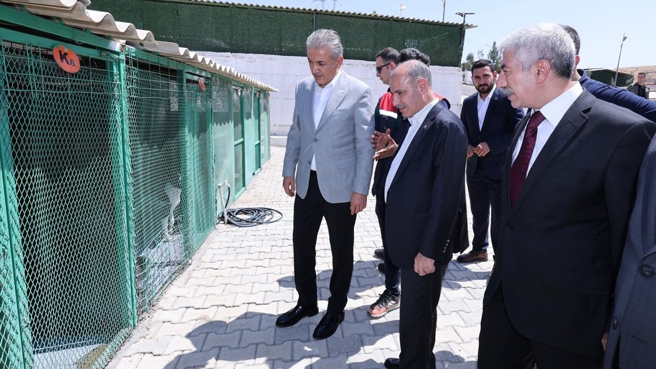 İçişleri Bakan Yardımcısı Aktaş, Mardin'de Hayvan Bakımevi'ni Ziyaret Etti