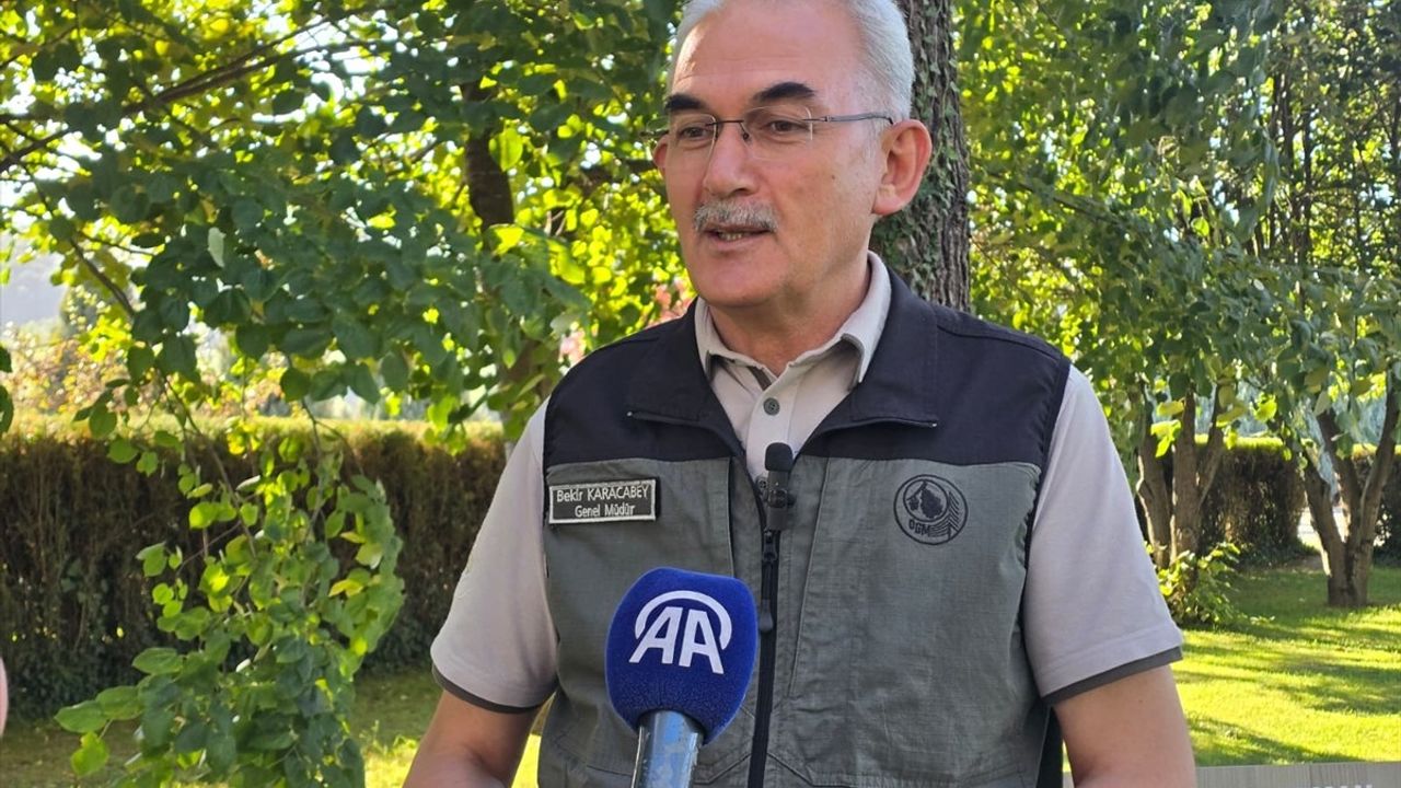 İhmal Orman Yangınlarının Ana Nedeni: Bekir Karacabey'den Uyarı