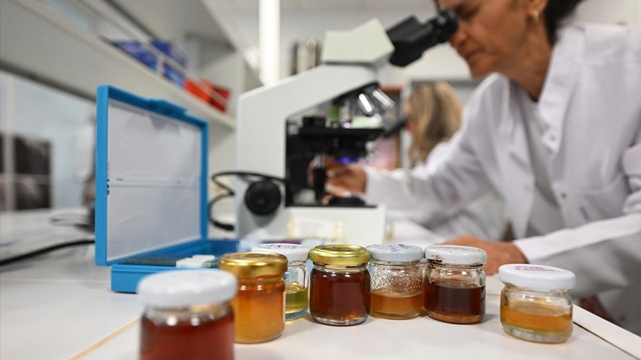 İklim Değişikliği Kestane Balının İçeriğini Değiştirdi: Orman Gülü Polenleri Karışıyor