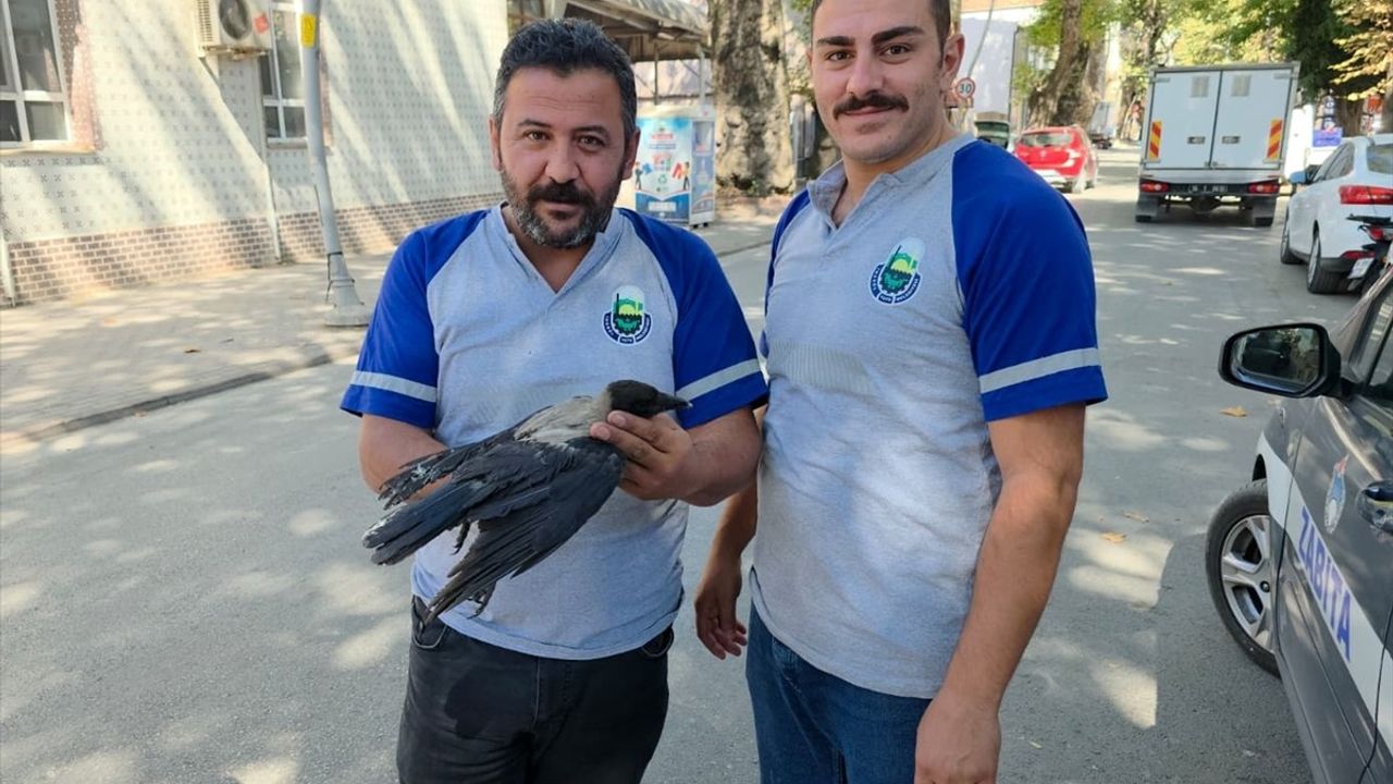 İnegöl'de Bacağı İpe Dolanan Karga İtfaiye Tarafından Kurtarıldı