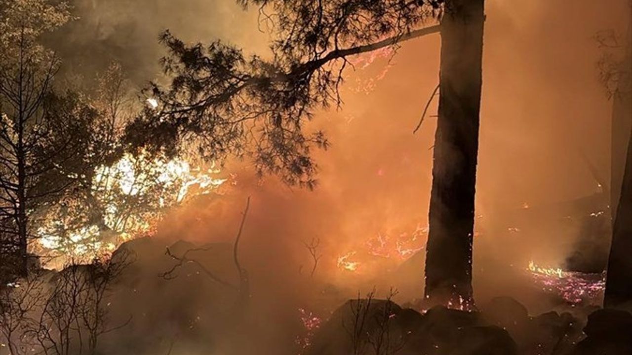 Isparta'da Orman Yangını Kontrol Altına Alındı