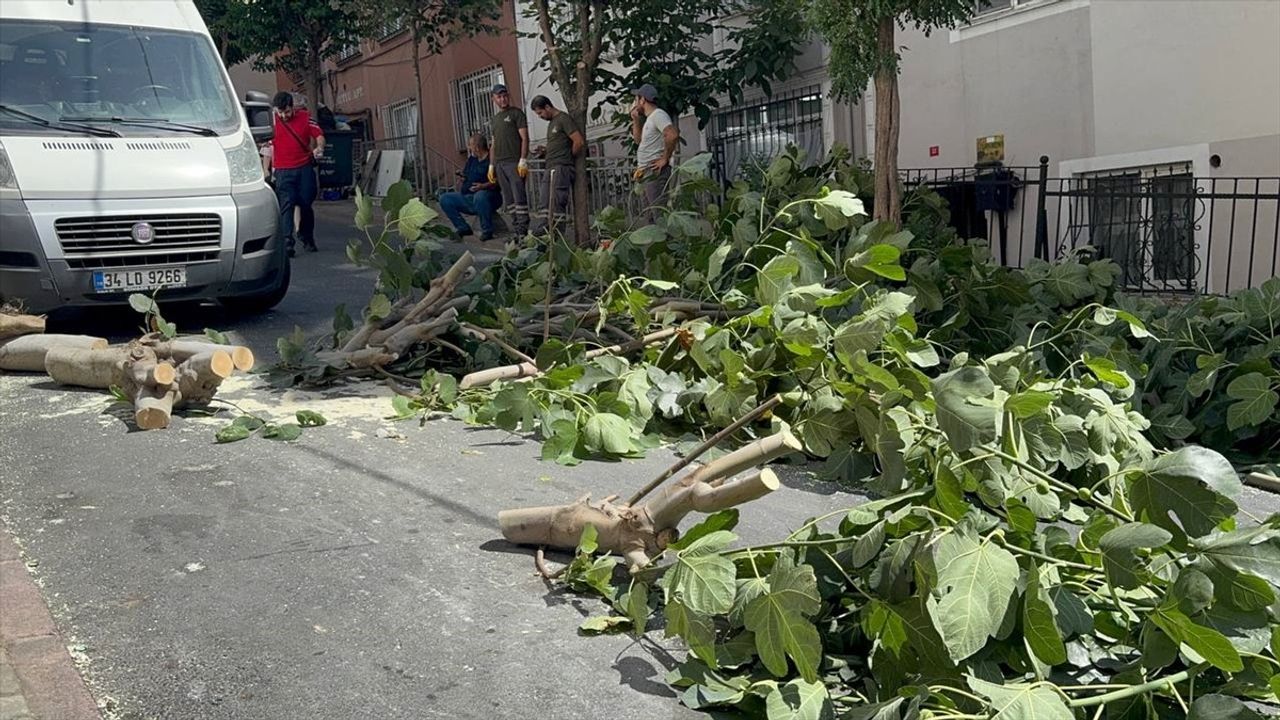 İstanbul'da Fırtına Ağaçları Devrildi: Bakırköy, Bağcılar, Şişli'de Hasar