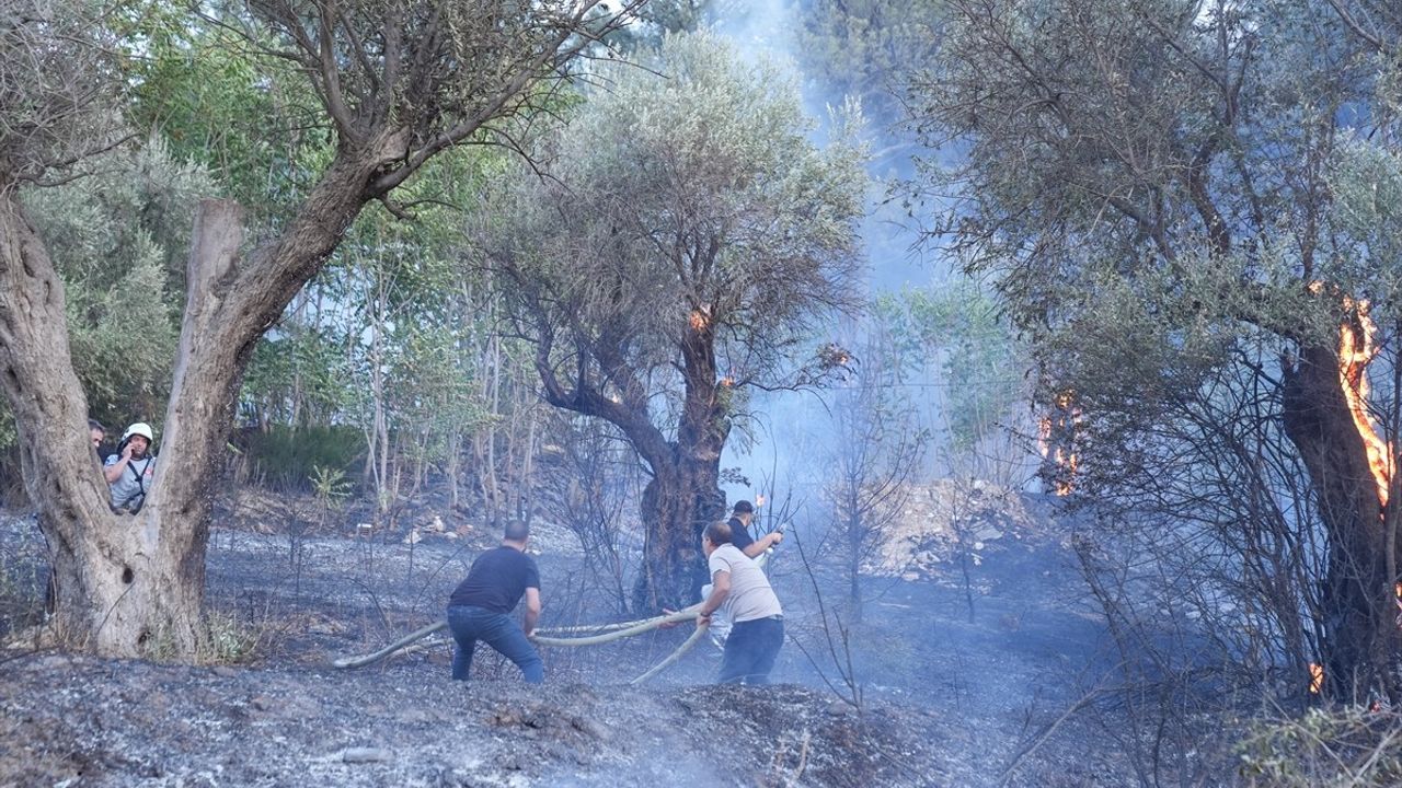 İzmir Bornova'da Otlukta Başlayan Yangın Ormana Sıçradı
