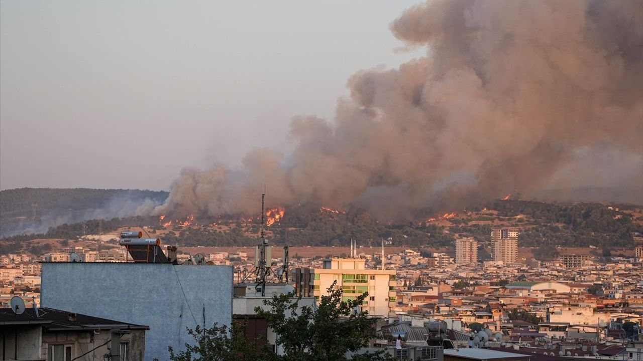İzmir Buca'da Minibüs Yangını Ormana Sıçradı — Havadan ve Karadan Müdahale