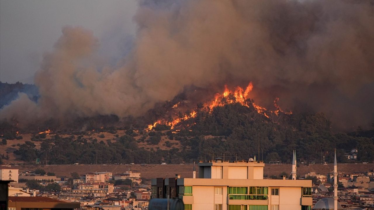 İzmir Buca'da Orman Yangını: Havadan ve Karadan Müdahale Sürüyor