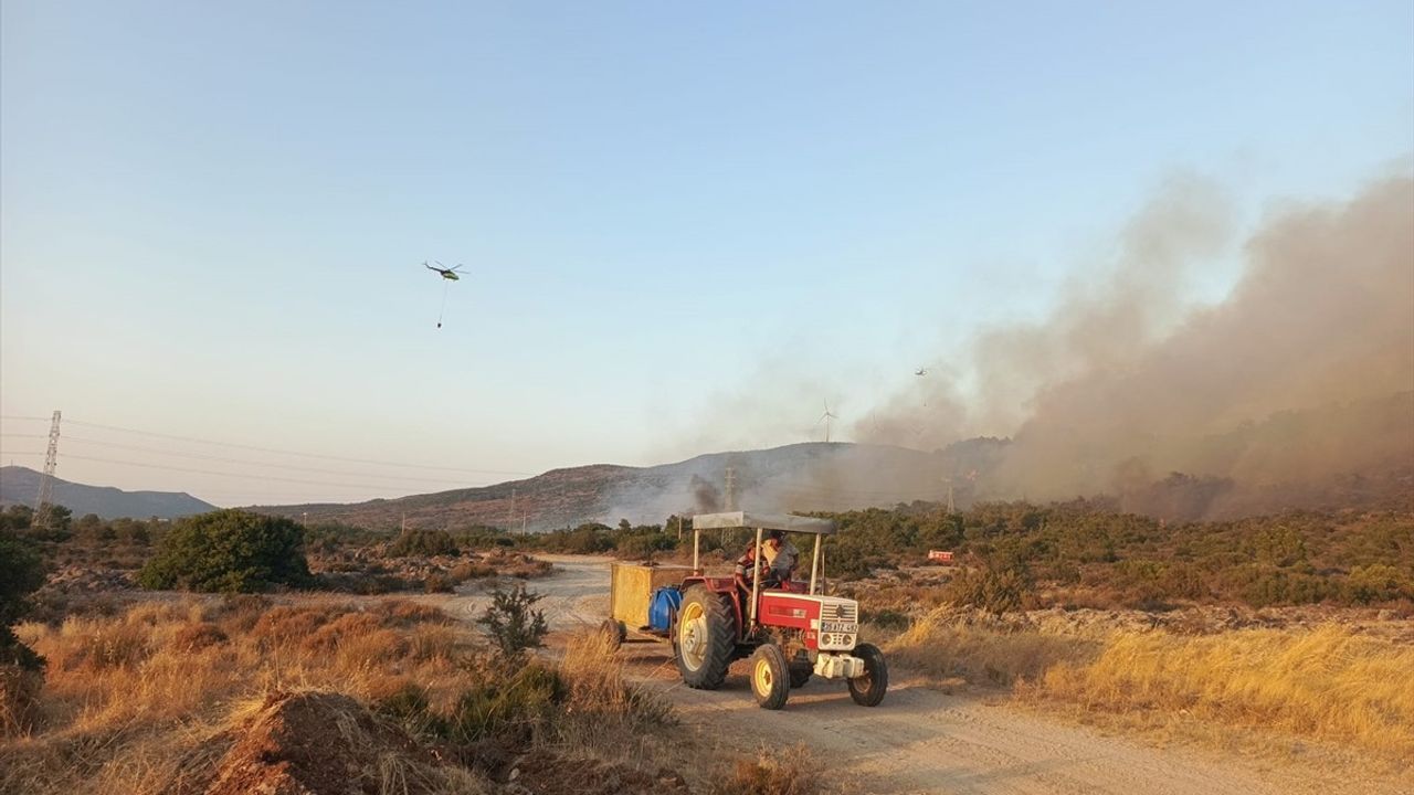 İzmir'de Tarım Yangını Ormana Sıçradı: Mücadele Devam Ediyor