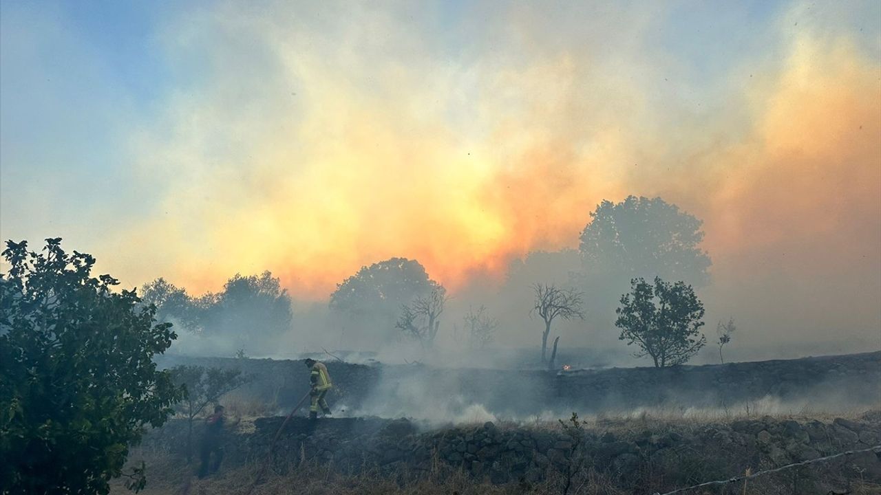 İzmir Dikili'de Yangın: 7 Ev Tamamen Zarar Gördü