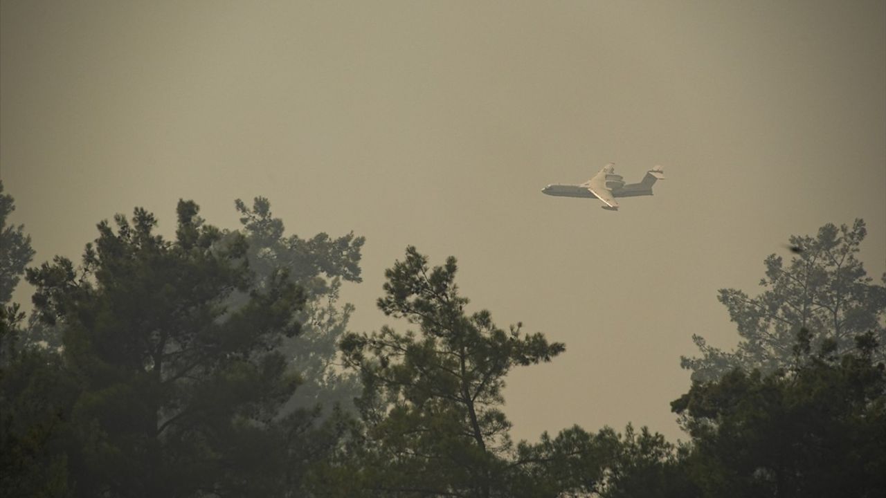 İzmir Menderes'te Tarım Yangını Ormana Sıçradı