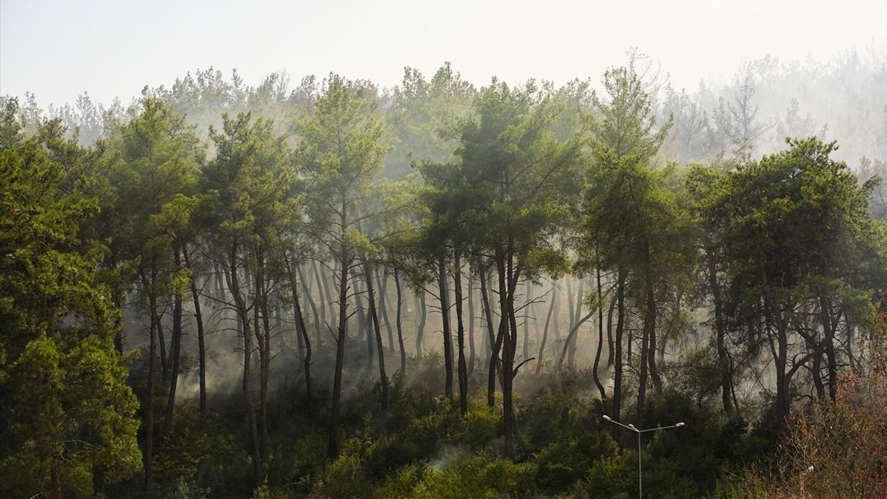 İzmir Menderes'te Tarım Yangını Ormana Sıçradı: 3 Şüpheli Gözaltında