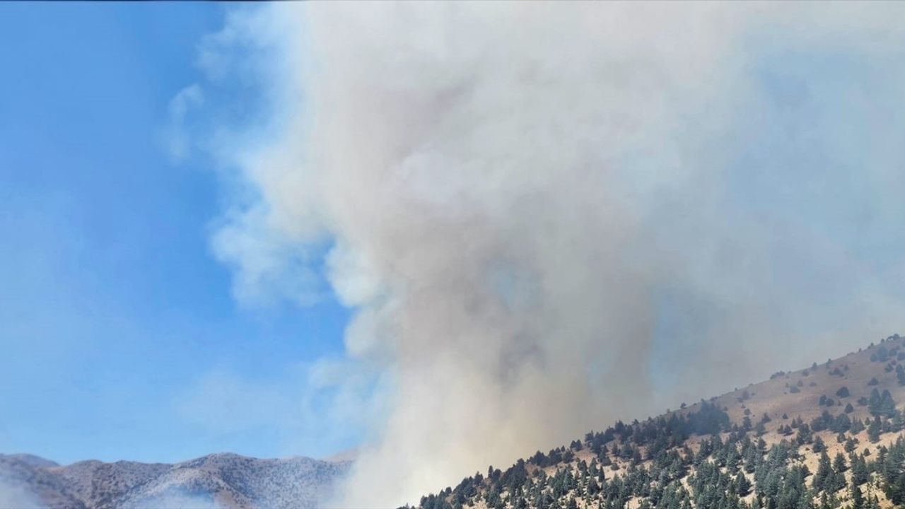 Kahramanmaraş'ta Orman Yangınına Hızla Müdahale