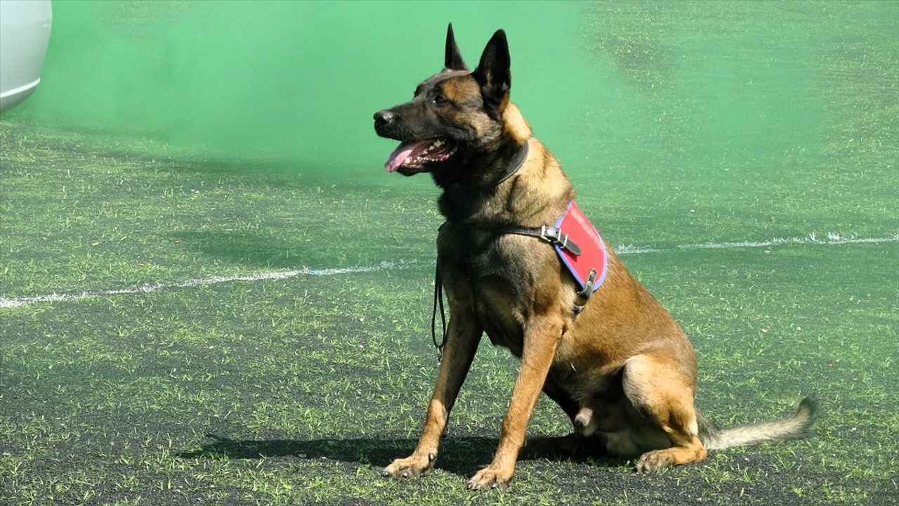 Karabük'te 37. Dönem: 1.619 Uzman Erbaş Mezun Oldu