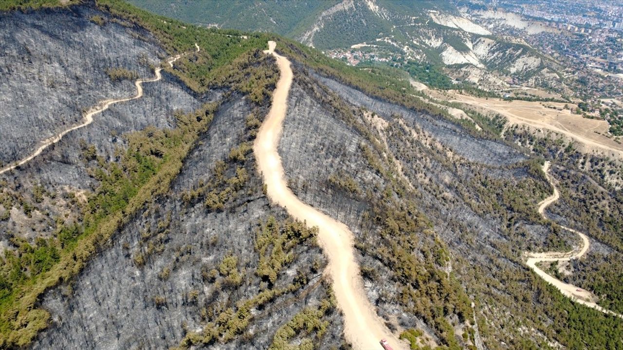 Karabük'te Orman Yangını: Havadaki Kayıplar Dronla Görüntülendi