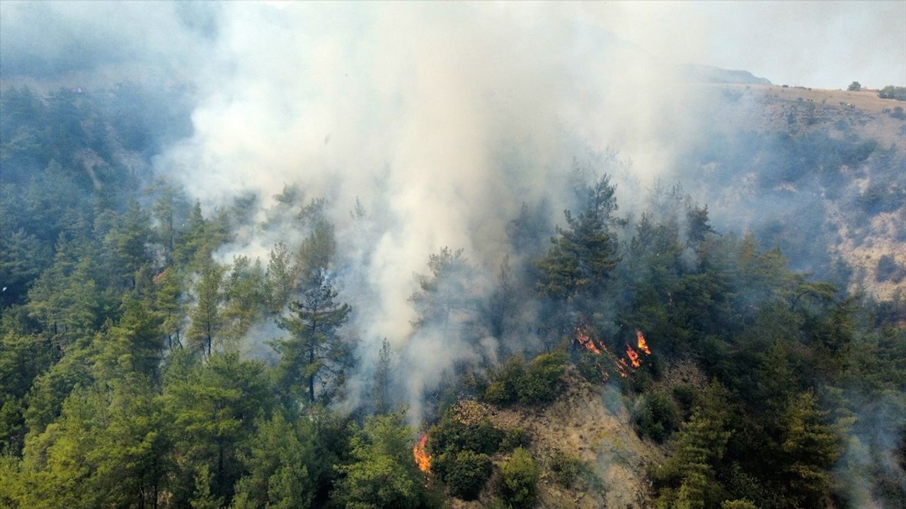 Karabük'te Orman Yangını: Müdahale Devam Ediyor