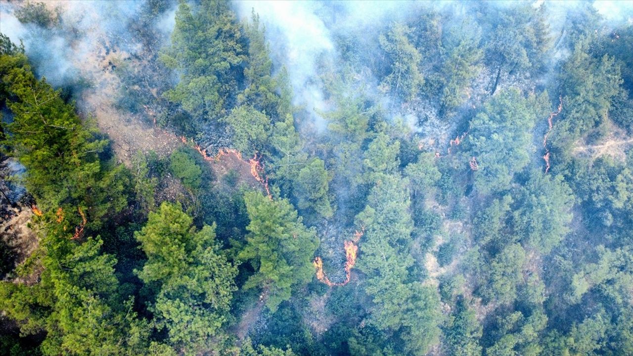 Karabük'te Orman Yangını: Müdahale Devam Ediyor