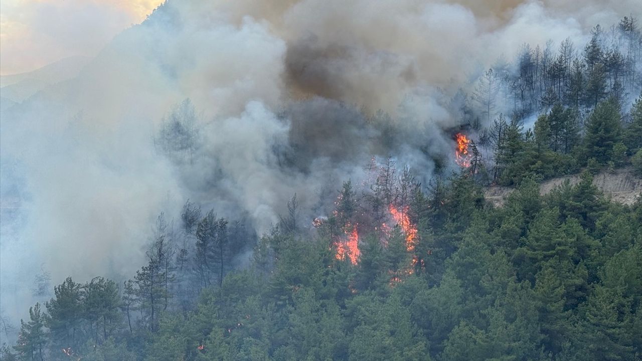 Karabük'te Yeniden Orman Yangını: Ekipler Mücadele Ediyor