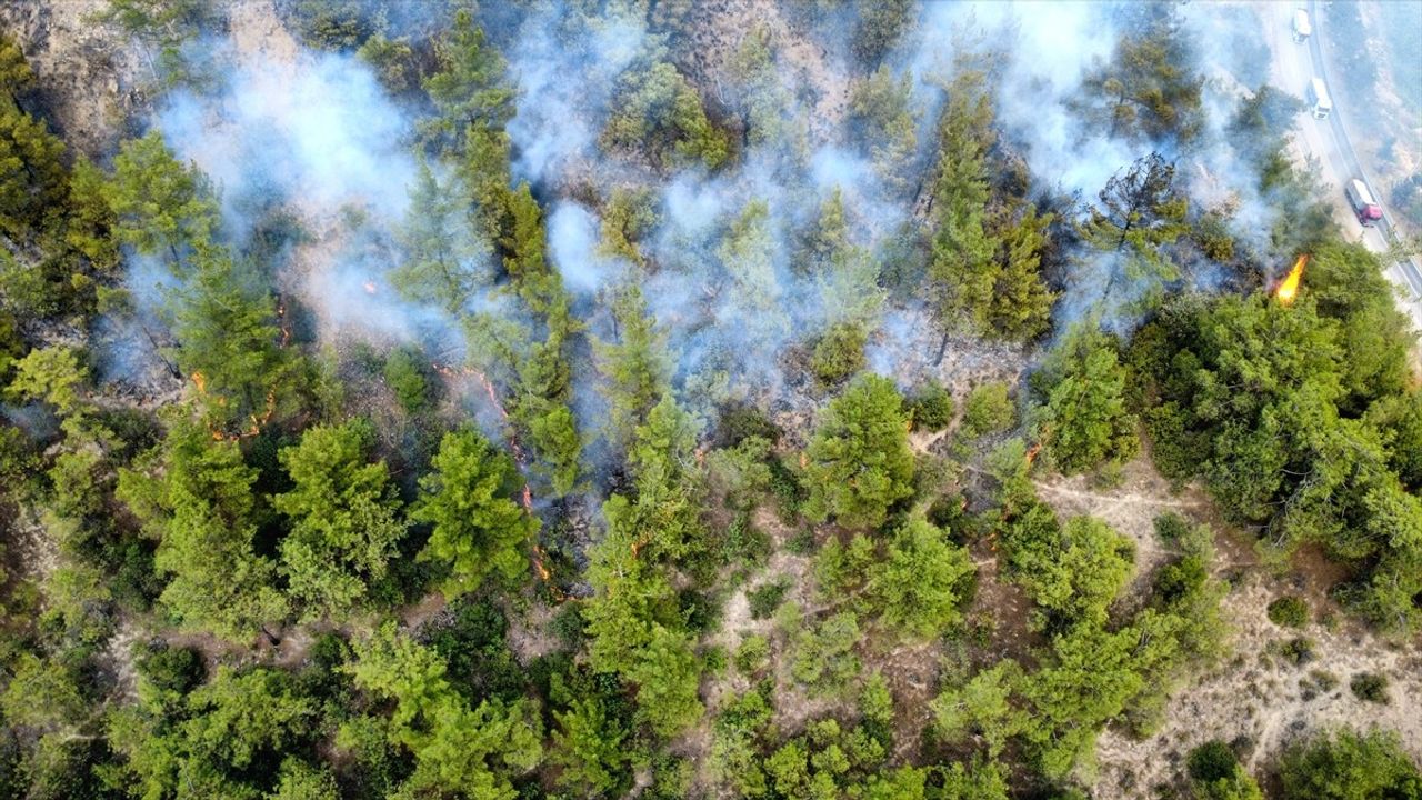 Karabük'teki Orman Yangını Kontrol Altına Alındı