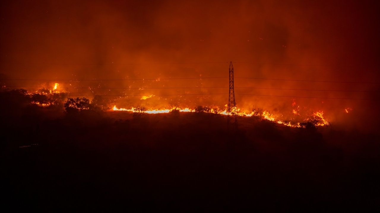 Karadağ Orman Yangınları İçin Uluslararası Yardım Çağrısında Bulundu