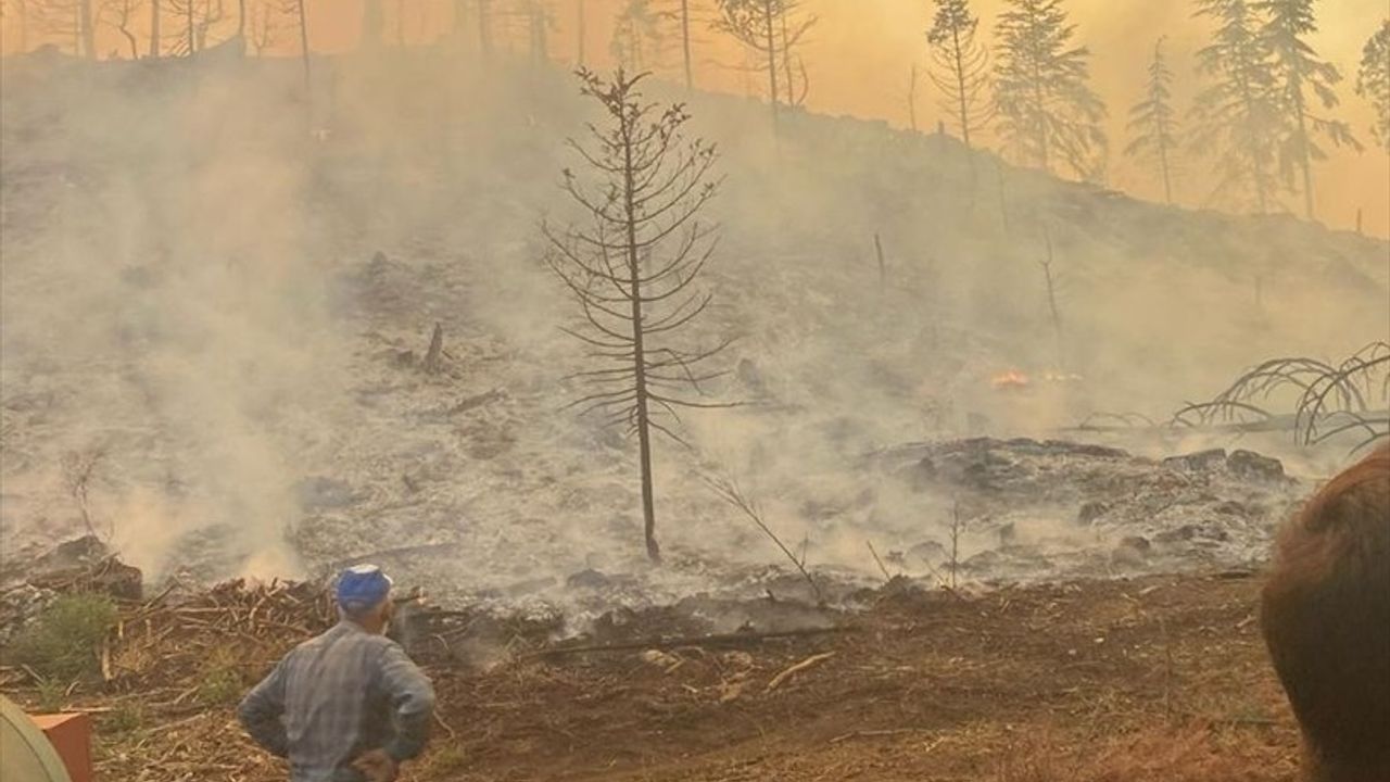 Karaman'da İki Noktada Orman Yangını: Karadan ve Havadan Müdahale