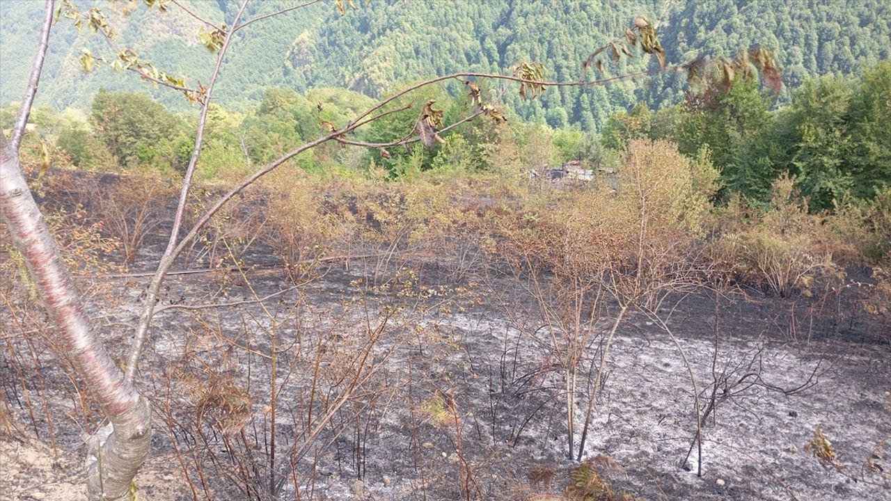 Kastamonu'da Ev Yangını Ormana Sıçradı, Söndürüldü