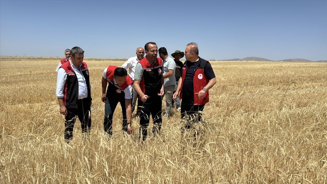 Kayseri'de Ekili Tarım Arazisi Yüzde 22 Arttı, Üretici Sayısı 32 Bine Ulaştı