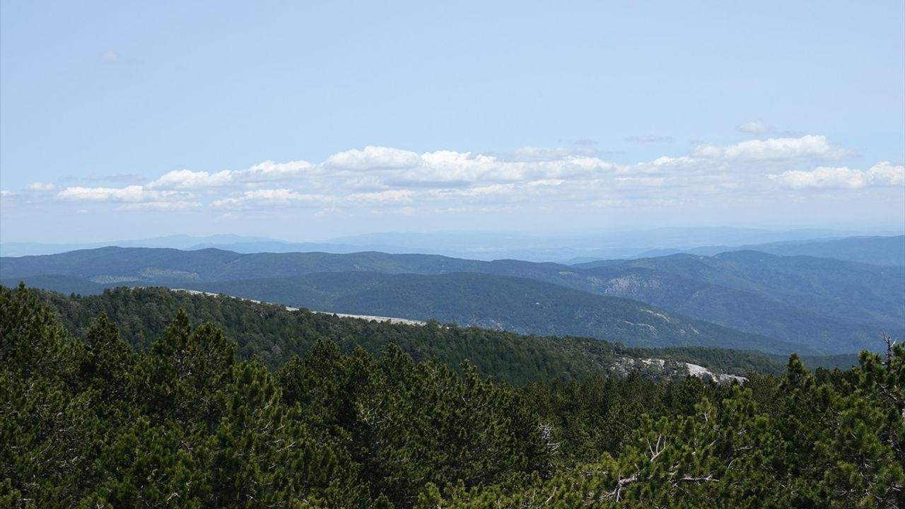 Kazdağları: 300 Milyon Yıllık Masif ve 800 Bitki Türüyle Eşsiz