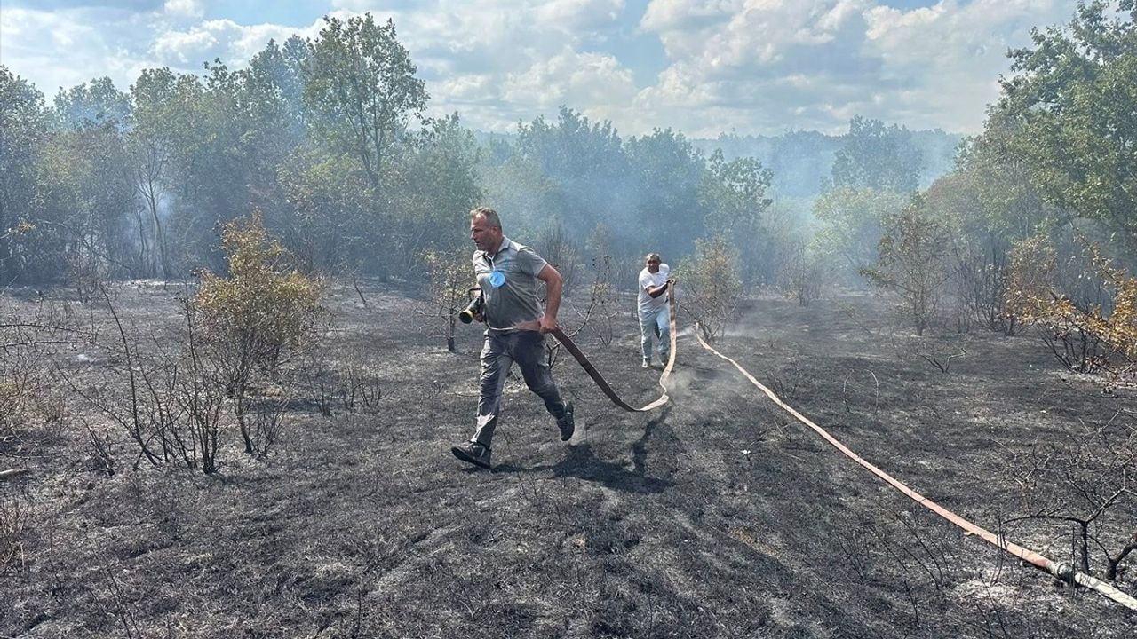 Kırklareli İğneada'da Orman Yangını Söndürüldü