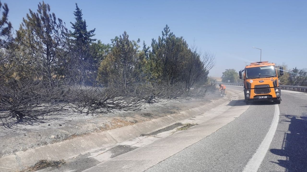 Kırklareli (Lüleburgaz) Anız Yangını Ağaçlık Alana Sıçradı — Avrupa Otoyolu ve D-100 Kapandı