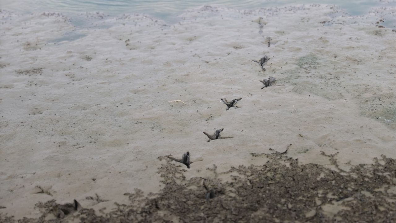 Kırklareli'nin Oruçlu Göleti Kuraklık Tehditi Altında