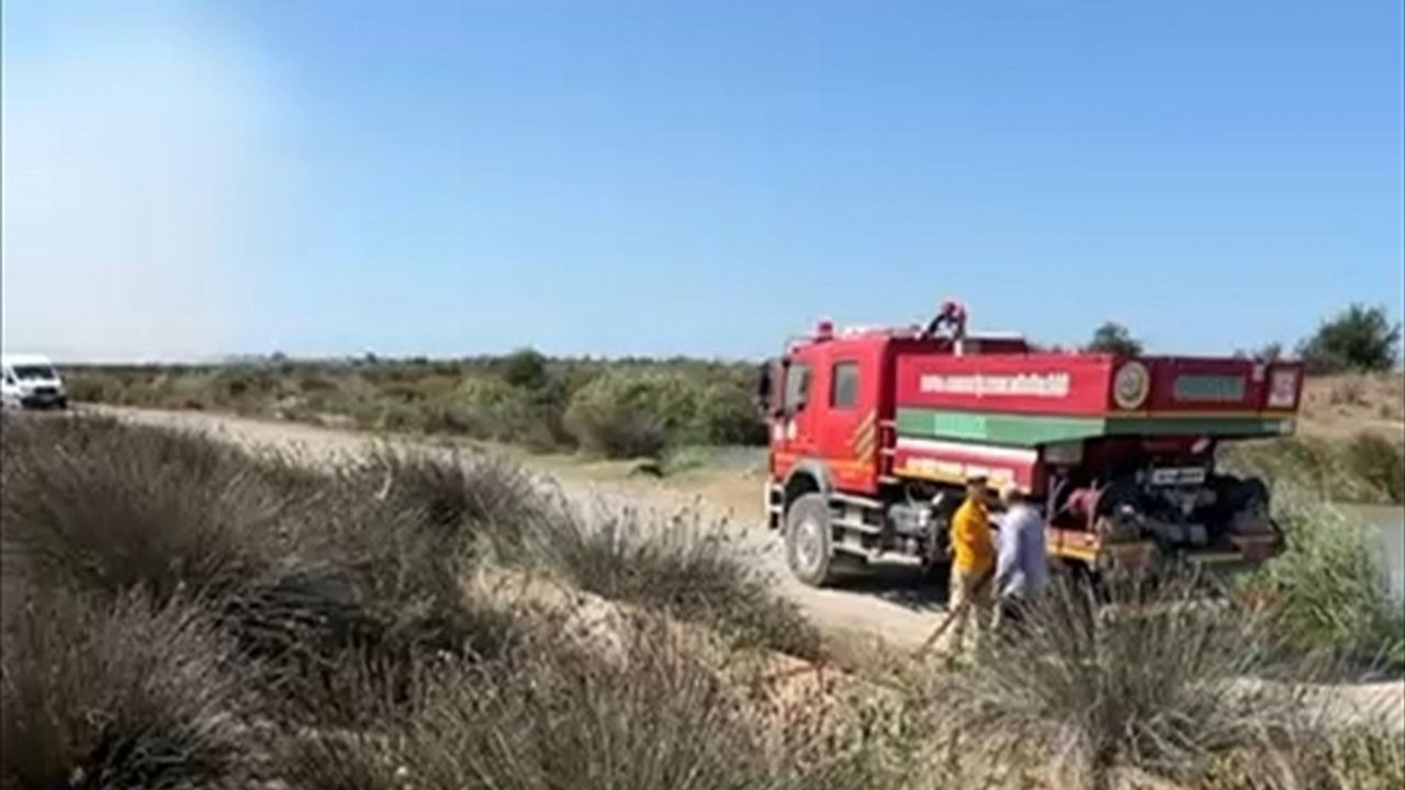 Kızılırmak Deltası Kuş Cenneti'nde Yangın: 15 Dönümlük Sazlık Zarar Gördü