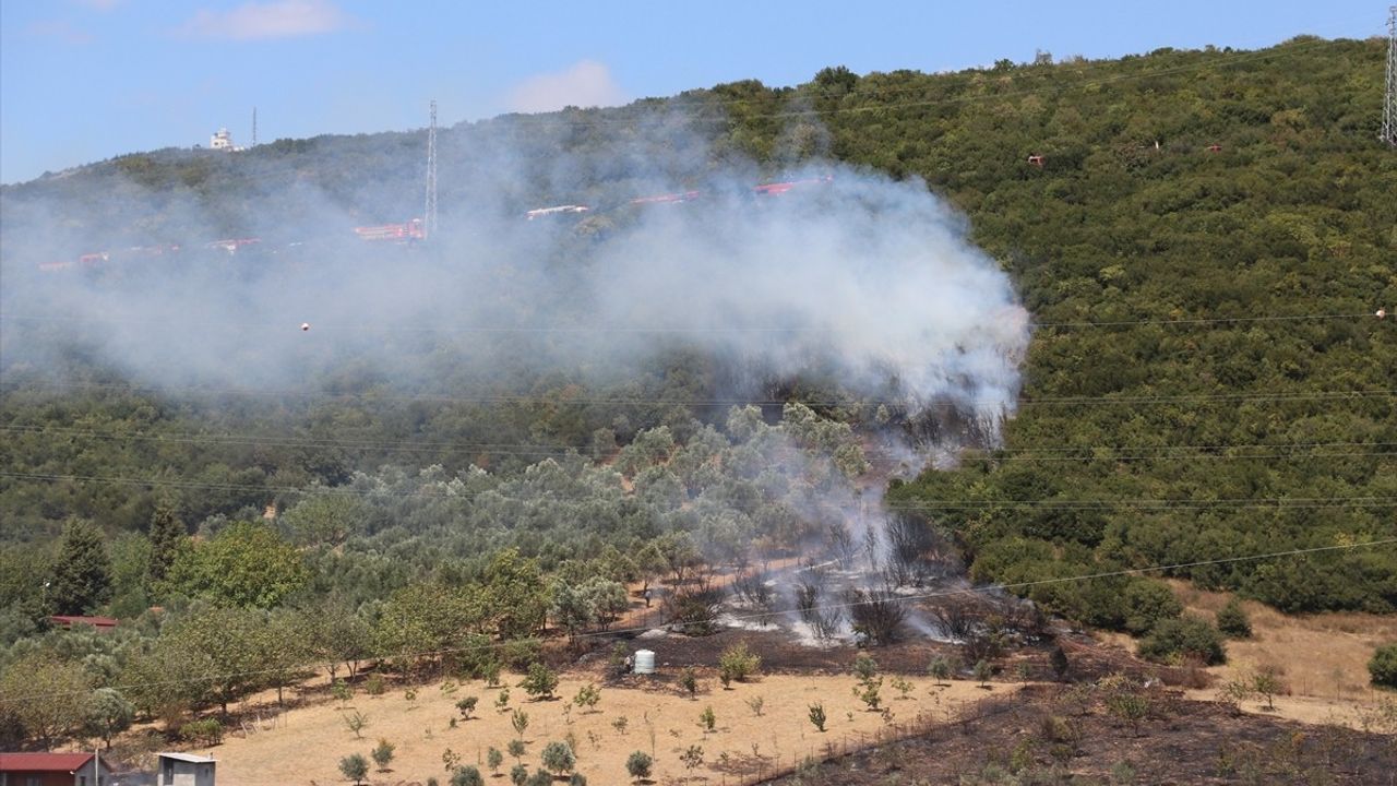 Kocaeli Derince Çınarlı Mahallesi'nde Yangın Söndürüldü