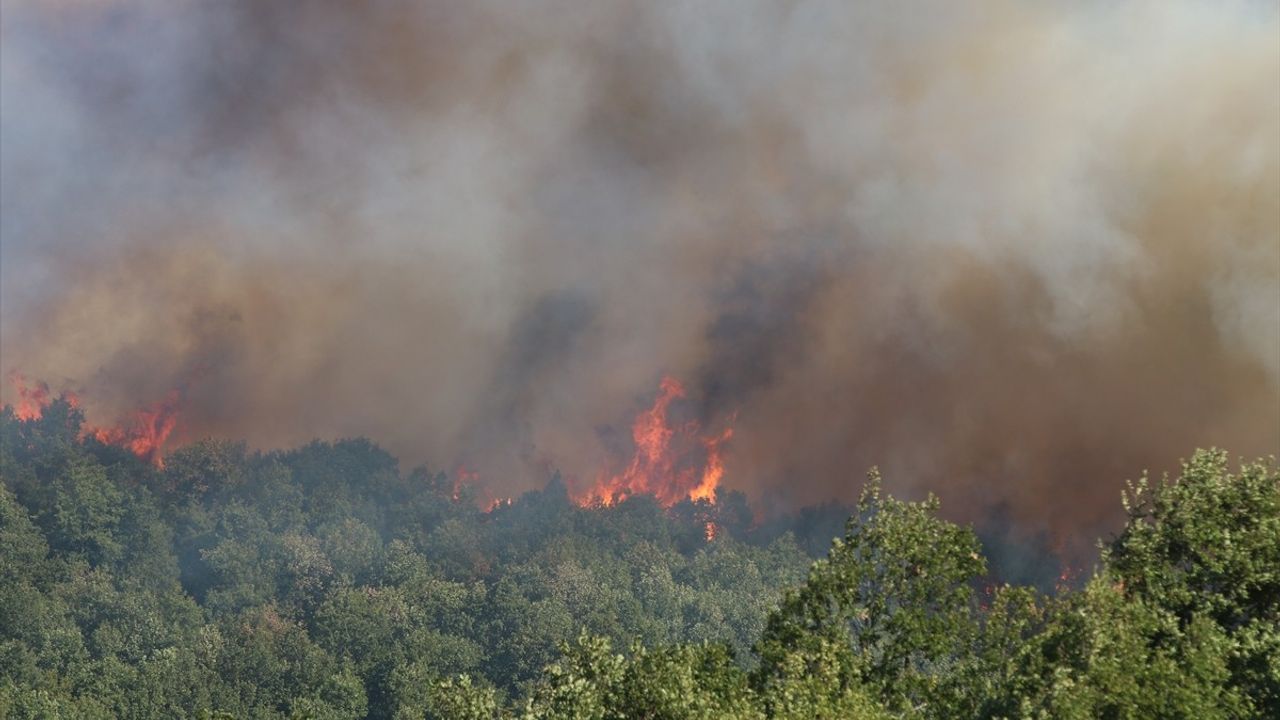 Kocaeli Karamürsel'de Orman Yangını: 1 Mahalle Tahliye Edildi