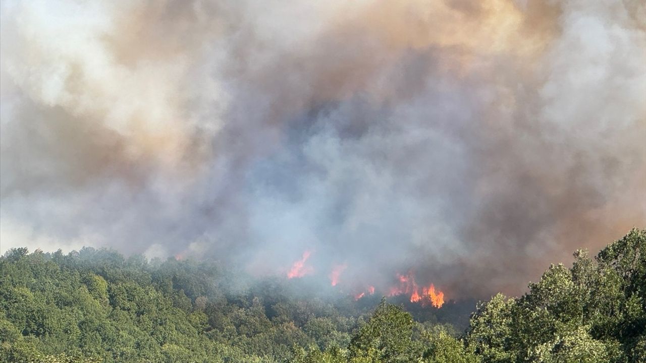 Kocaeli Karamürsel'de Orman Yangınına 3 Uçak ve 8 Helikopterle Müdahale