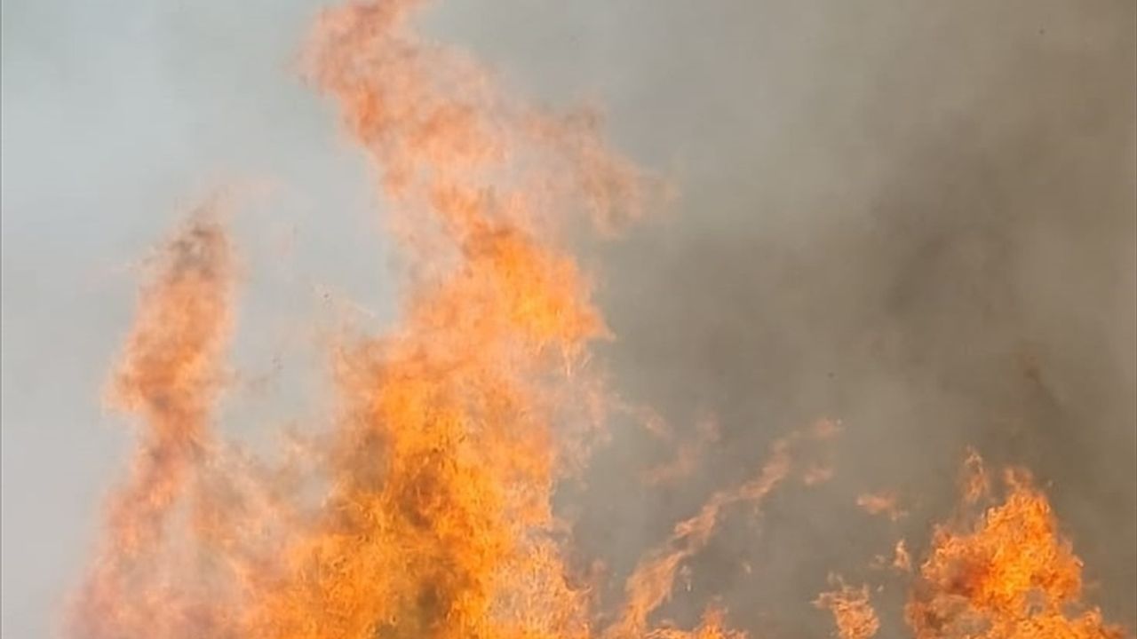 Malatya'da Orman Yangını: Doğanyol Akkent'te Müdahale Sürüyor