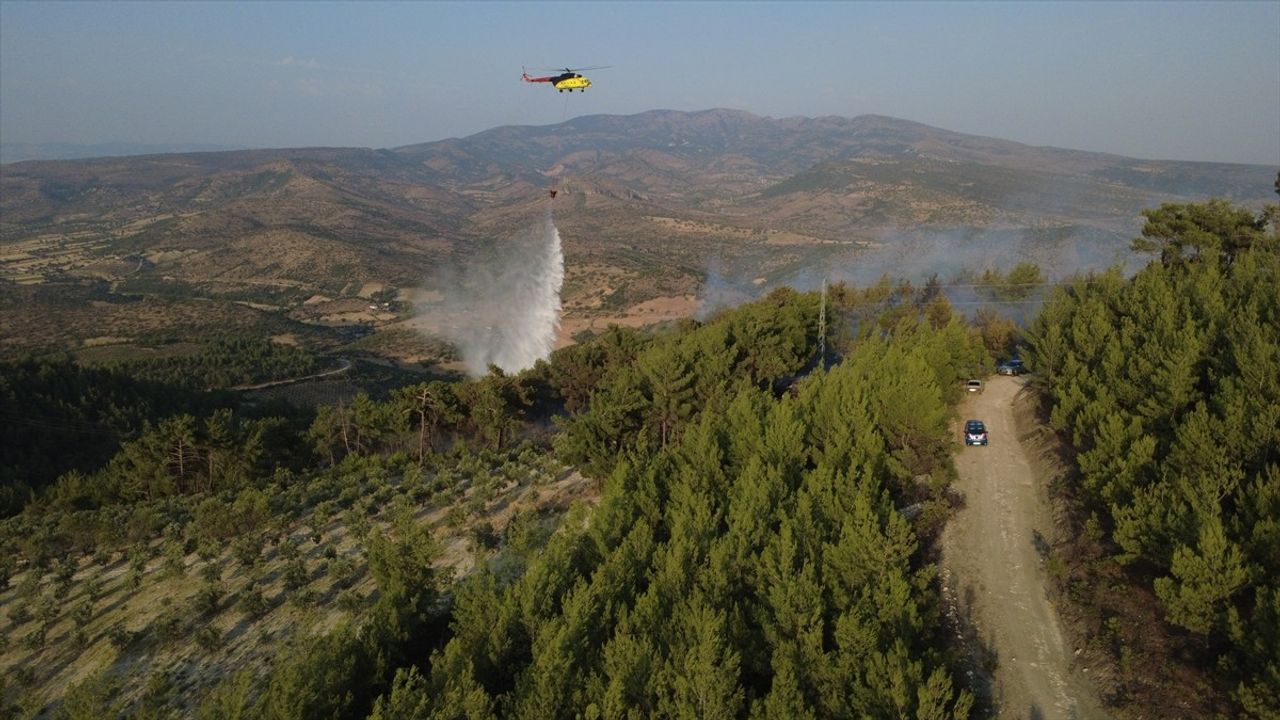 Manisa'da Kızılçam Ormanı Yangını Kontrol Altına Alındı