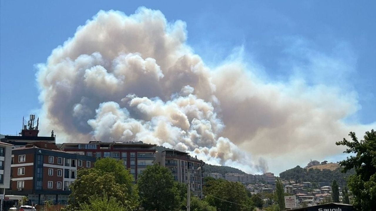 Manisa Soma'da Orman Yangınına Müdahale Devam Ediyor