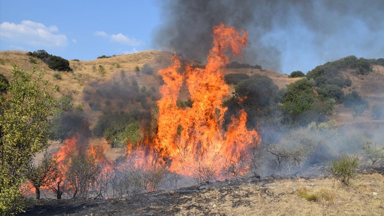 Manisa Turgutlu'da Tarım Arazisindeki Yangın Kontrol Altına Alındı