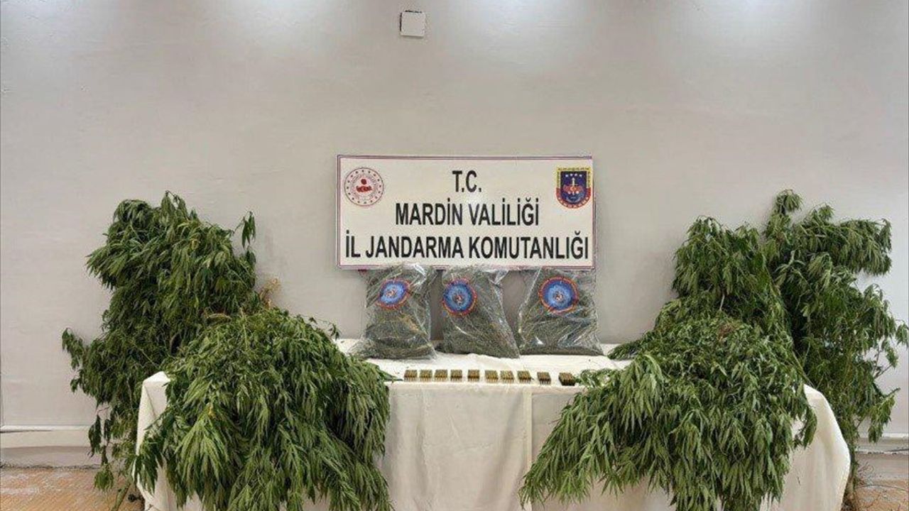 Mardin'de Uyuşturucu Operasyonu: 4 Kilo Esrar ve Şüpheli Tutuklandı
