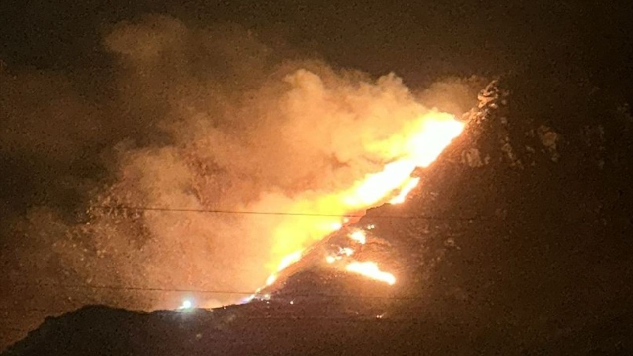 Marmara Adası'nda yangın kontrol altına alındı
