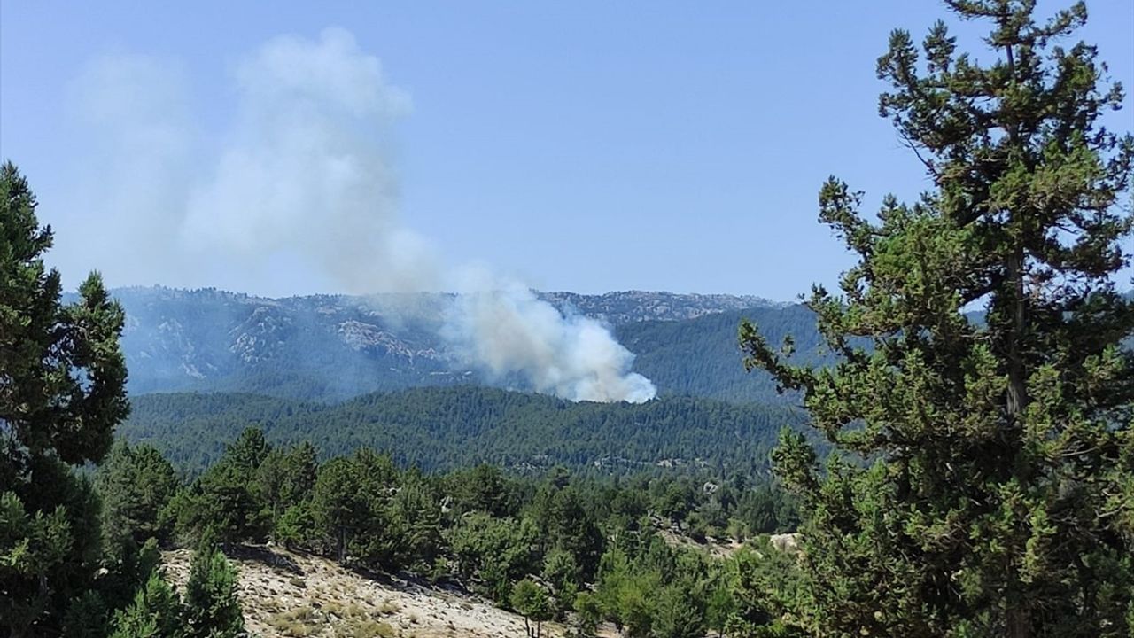 Mersin Bozyazı'da Orman Yangını: Havadan ve Karadan Mücadele Başlatıldı