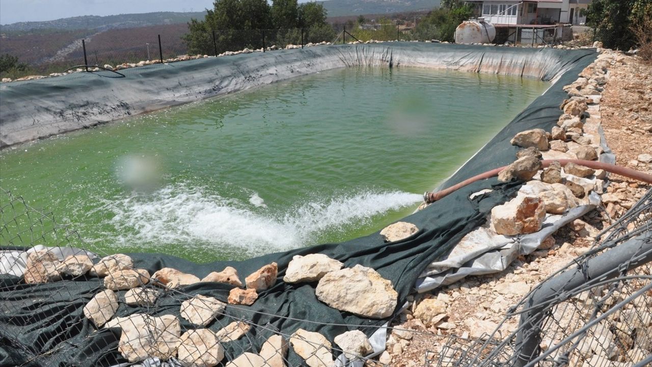 Mersin'de Orman Yangınında Su Havuzları Dolduruldu