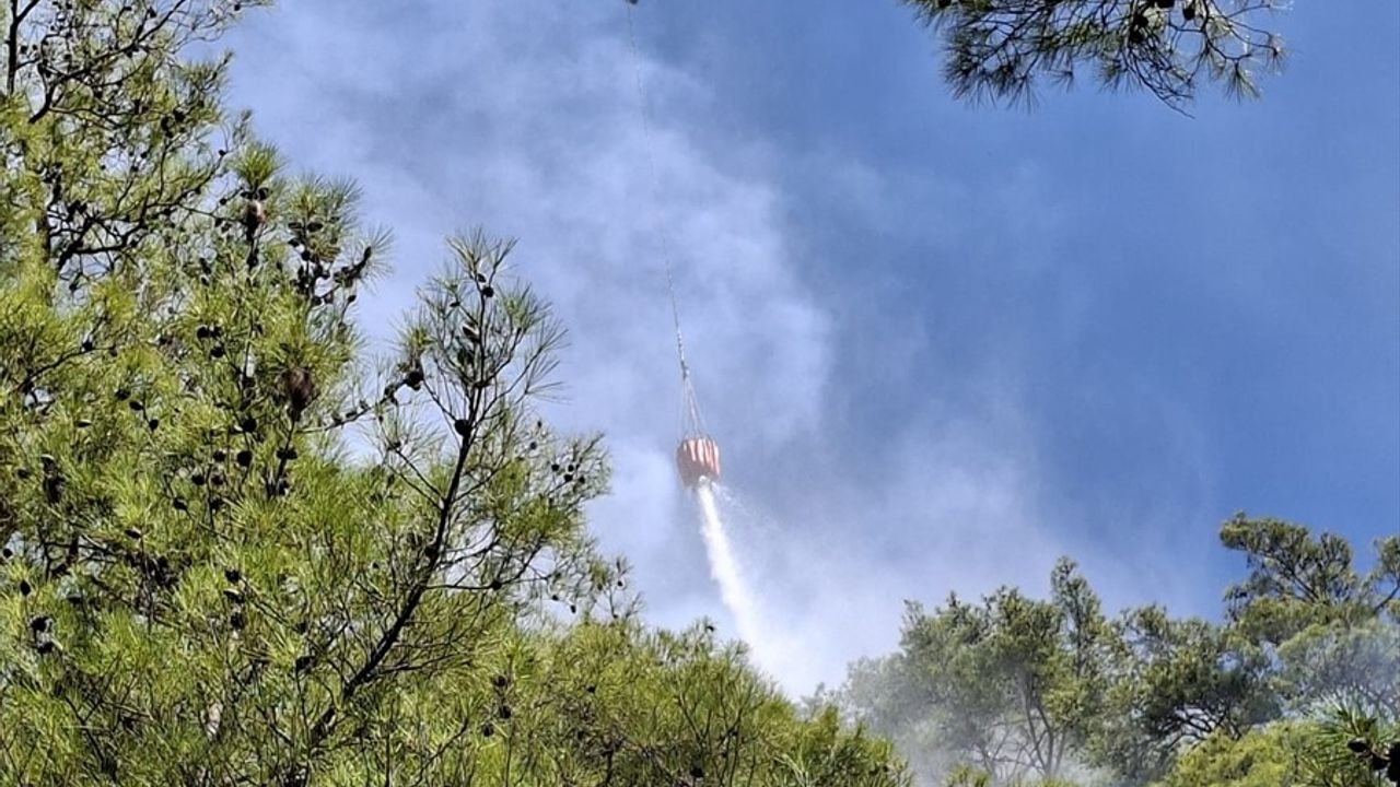 Mersin'deki Orman Yangını Kontrol Altına Alındı