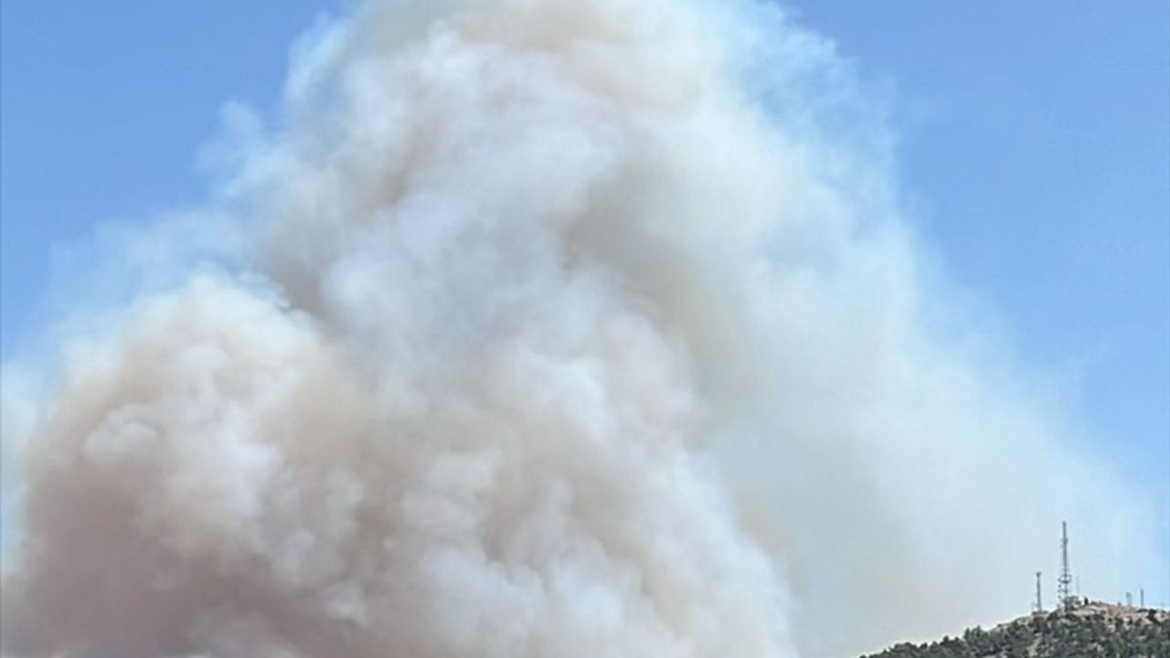 Mersin Silifke'de Orman Yangını: 3 Mahalle Tedbiren Tahliye Ediliyor