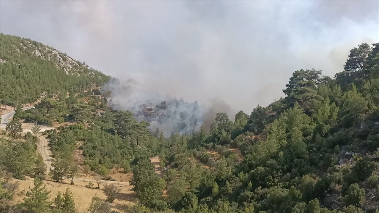 Mersin Silifke’de Orman Yangını: 6 Mahalle ve 5 Mezra Tahliye Edildi