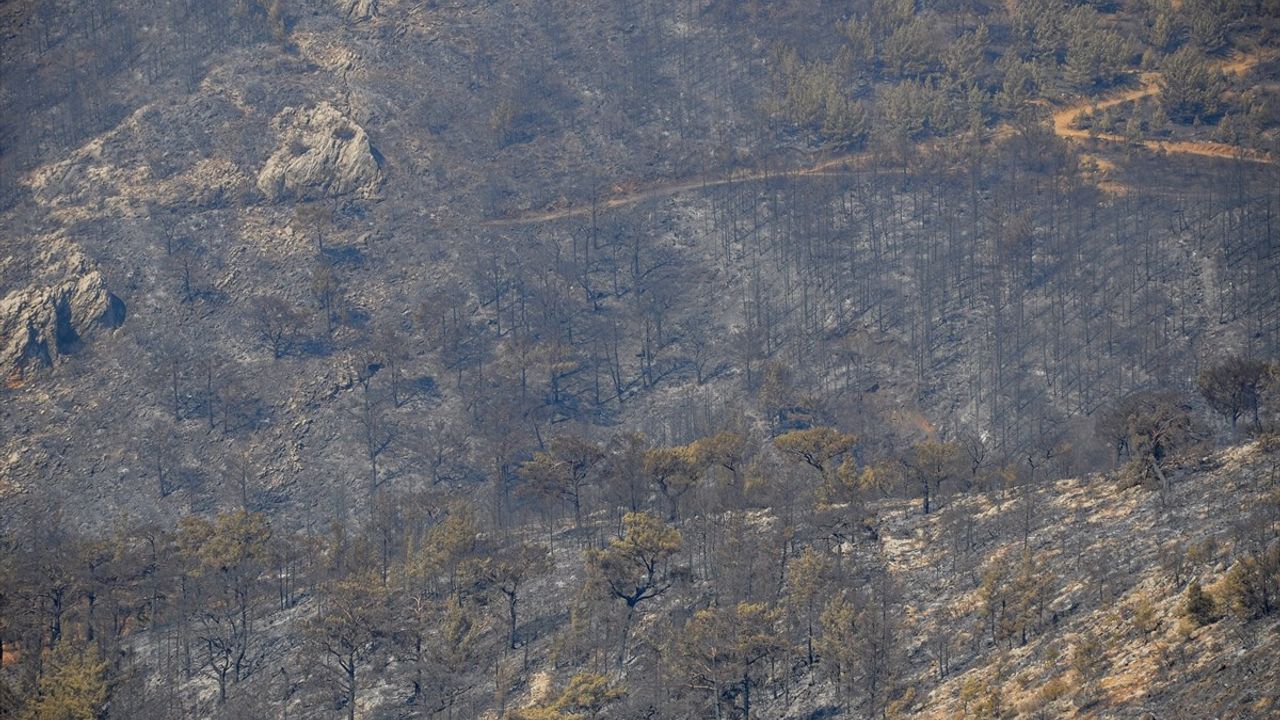 Mersin Silifke'de Orman Yangını Büyük Ölçüde Kontrol Altına Alındı