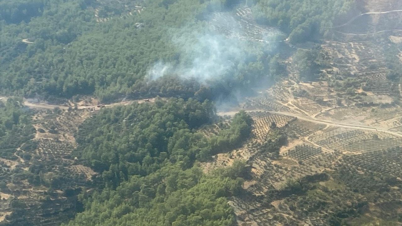 Muğla Fethiye Yakacık'ta Orman Yangını: Ekipler Müdahale Ediyor