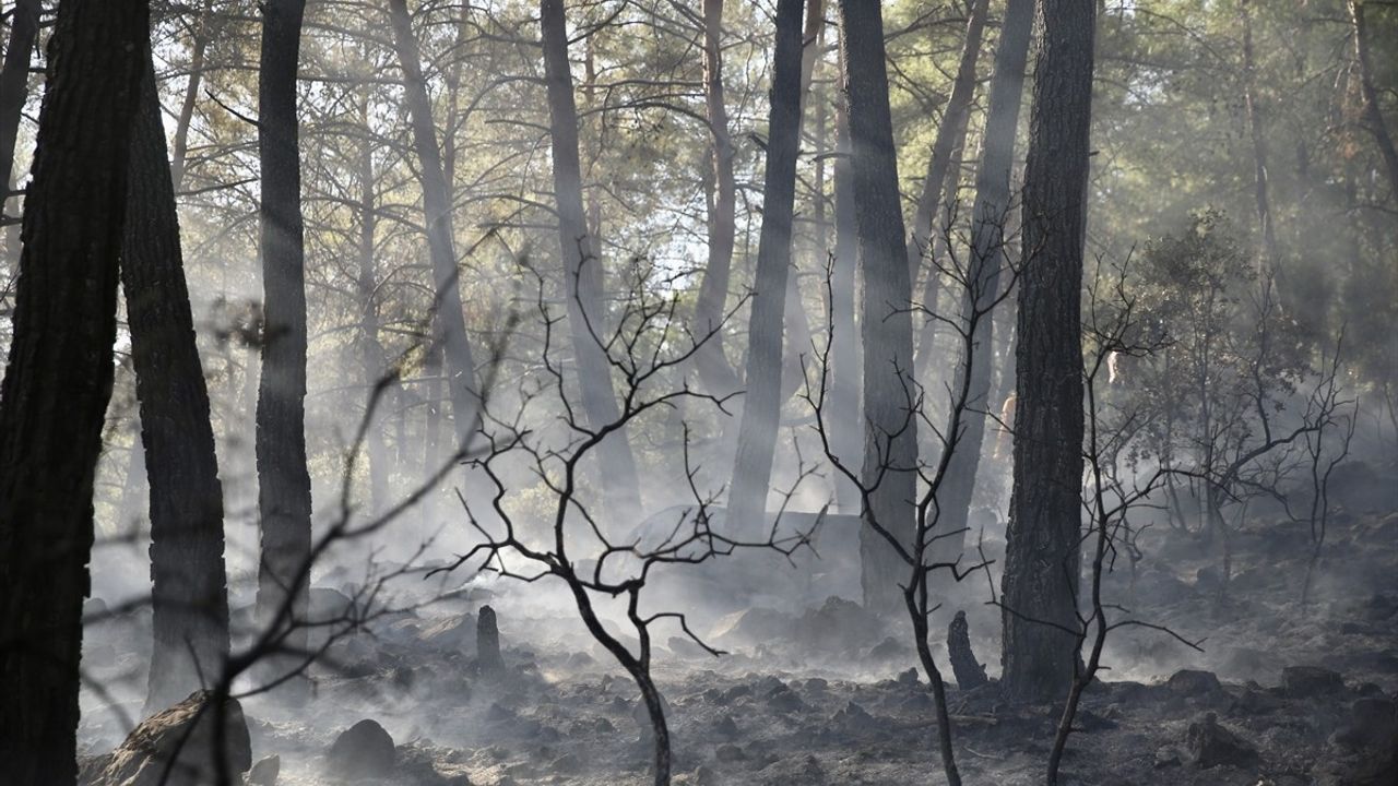 Muğla'nın Fethiye ilçesinde orman yangını kontrol altına alındı