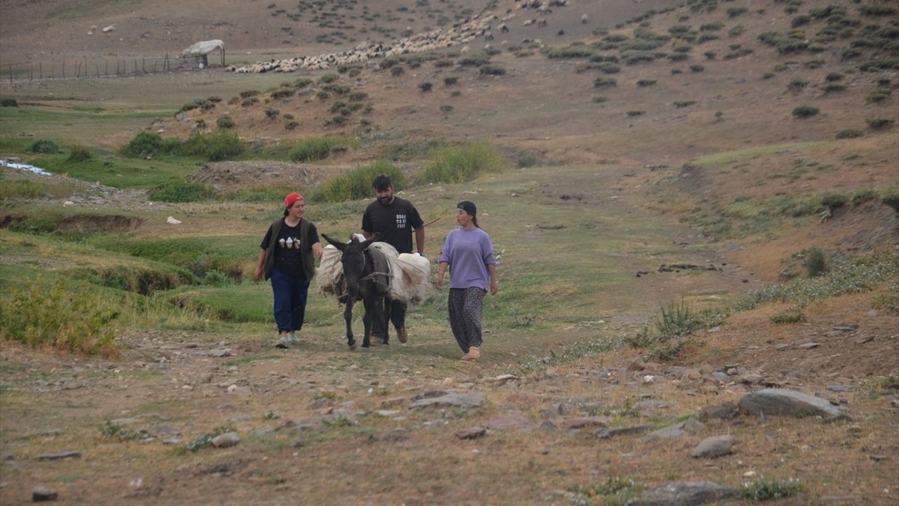 Muş'ta Göçerler Yüksek Yaylalarda Hayvancılık Yapıyor